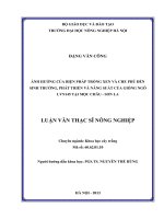 ẢNH HƯỞNG CỦA BIỆN PHÁP TRỒNG XEN VÀ CHE PHỦ ĐẾN SINH TRƯỞNG, PHÁT TRIỂN VÀ NĂNG SUẤT CỦA GIỐNG NGÔ LVN145 TẠI MỘC CHÂU - SƠN LA - LUẬN VĂN THẠC SĨ NÔNG NGHIỆP