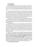 Tổ chức lãnh thổ khu công nghiệp Chu Lai