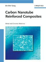 carbon nanotube reinforced composites. metal and ceramic matrices, 2009, p.243