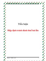 Tiểu luận: Hiệp định tránh đánh thuế hai lần