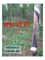 Bài giảng bệnh sốt rét   BS  phan vĩnh thọ