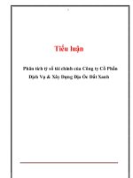 Phân tích tỷ số tài chính của công ty cổ phần dịch vụ & xây dựng địa ốc đất xanh