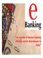 Thuyết trình: An analysis of Internet banking offerings and its determinants in India