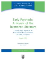early psychosis a review of the treatment literature