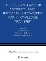 the role of labour mobility and informal networks for knowledge transfer