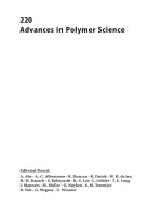 advances in polymer science, v.220. self-assembled nanomaterials ii. nanotubes, 2008, p.199