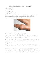 cập nhật và chẩn đoán bệnh gút