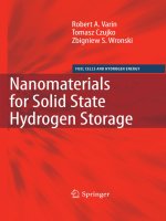 nanomaterials for solid state hydrogen storage, 2009, p.346