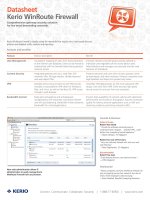 Tài liệu WinRoute Firewall datasheet docx