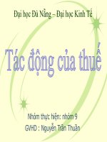 Tài liệu Tác động của thuế pptx