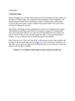 Tài liệu Using Quick Flags ppt