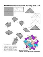 Tài liệu Nghệ thuật xếp hình Nhật Bản: Blintz Icosidodecahedron pdf
