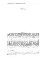 Chính sách tiền tệ và tỷ giá hối đoái mô hình VAR 