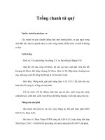 Tài liệu Trồng chanh tứ quý pptx