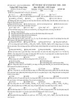 Tài liệu Đề kiểm tra học kỳ II môn Hóa học 12 năm 2008-2009 pdf