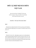 Tài liệu ĐIỀU LỆ HIỆP HỘI BẢO HIỂM VIỆT NAM ppt