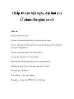 Tài liệu Chấp thuận hội nghị, đại hội của tổ chức tôn giáo cơ sở pdf