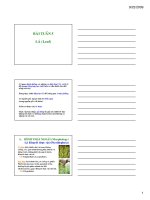 Tài liệu Bài tuần 5: Lá (Leaf) docx