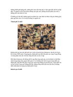 Tài liệu 7 danh lam cổ đại nhất thế giới ppt