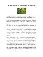 Tài liệu Kỹ thuật mới trồng cây na dai cho hiệu quả kinh tế cao docx