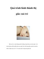 Tài liệu Quá trình hình thành thị giác cuả trẻ pptx