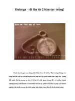 Tài liệu Daizega – đi lên từ 2 bàn tay trắng! pptx