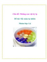 Tài liệu Chủ đề: Những con vật kỳ lạ - Đề tài: Sắc màu tự nhiên - Nhóm lớp: Lá pptx