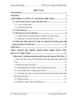 Hoàn thiện hệ thống kênh phân phối  hàng tiêu dùng tại tập đoàn phú thái 