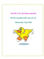 Tài liệu Chủ đề: Con vật sống trong nhà - Đề tài: Sự phát triển của con vịt - Nhóm lớp:Chồi doc