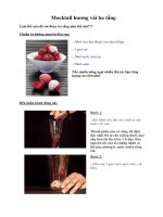 Tài liệu Mocktail hương vải ba tầng docx