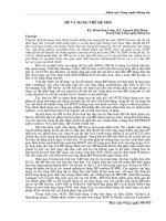 Tài liệu SIP và mạng thế hệ mới docx