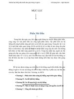 Tài liệu bao cao VXL docx