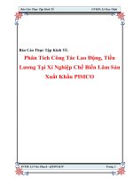 Tài liệu Báo Cáo Thực Tập Kinh Tế “Phân Tích Công Tác Lao Động, Tiền Lương Tại Xí Nghiệp Chế Biến Lâm Sản Xuất Khẩu PISICO” ppt