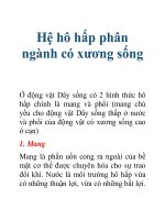 Tài liệu Hệ hô hấp phân ngành có xương sống doc