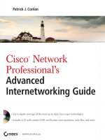 Cisco network professional's advanced internetworking guide, 2009 edition 