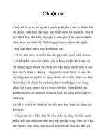 Tài liệu Chuột rút ppt