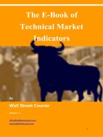 Tài liệu The E-book Of Technical Market Indicators Ver 1.1 (Wall Street Courier) (pdf) pdf