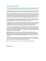 Tài liệu Những dự án mang tên Việt Nam docx