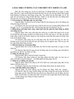 Tài liệu SÁUDẤU HIỆU Ở MÓNG TAY CHO BIẾT SỨC KHỎE CỦA BÉ doc