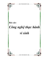 Tài liệu Báo cáo thực hành Môn: Công nghệ vi sinh pdf