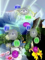 Tiết 48: Tứ giác nội tiếp