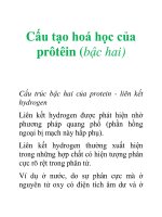 Tài liệu Cấu tạo hoá học của prôtêin (bậc hai) pdf