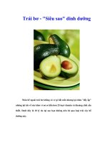 Tài liệu Trái bơ - 