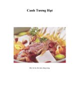 Tài liệu Canh Tương Hạt pptx