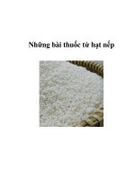 Tài liệu Những bài thuốc từ hạt nếp pdf