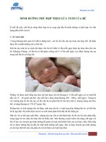 Dinh dưỡng phù hợp theo lứa tuổi của bé