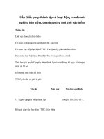 Tài liệu Cấp Giấy phép thành lập và hoạt động của doanh nghiệp bảo hiểm, doanh nghiệp môi giới bảo hiểm pptx