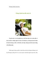 Tài liệu Phòng bệnh mùa hè: Phòng bệnh đau đầu mùa hè docx