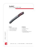 Tài liệu 25-Pair Category 5e Riser Cable pptx