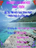 ĐỀ TÀI TÌM HIỂU QUÁ TRÌNH PHÁT TRIỂN PHÔI Ở LƯỠNG CƯ